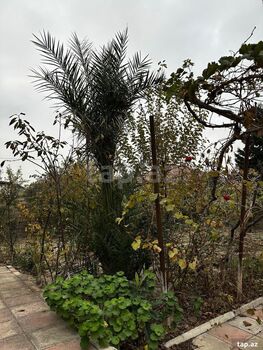 Həyət evi, Hövsan qəs.