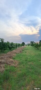 100 sot torpaq sahəsi, Xaçmaz r.