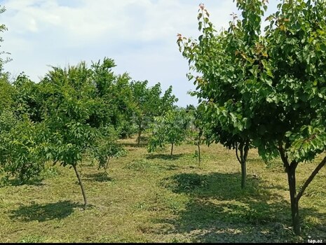 Həyət evi, Ağalıq kəndi