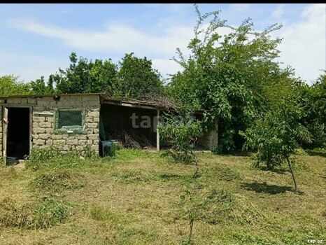 Həyət evi, Ağalıq kəndi