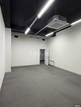 Ofis icarəyə verilir, Aşıq Molla Cümə küç.