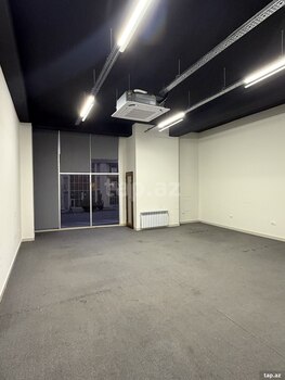 Ofis icarəyə verilir, Aşıq Molla Cümə küç.