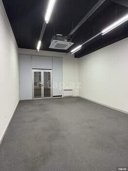 Ofis icarəyə verilir, Aşıq Molla Cümə küç.