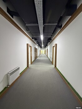 Ofis icarəyə verilir, Aşıq Molla Cümə küç.