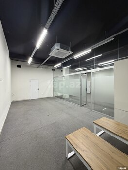 Ofis icarəyə verilir, Aşıq Molla Cümə küç.