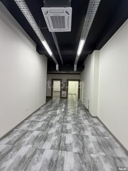 Ofis icarəyə verilir, Aşıq Molla Cümə küç.
