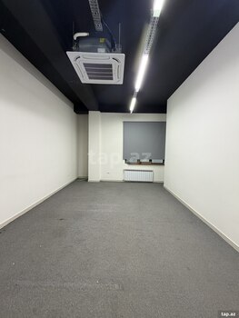 Ofis icarəyə verilir, Aşıq Molla Cümə küç.