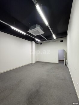 Ofis icarəyə verilir, Aşıq Molla Cümə küç.