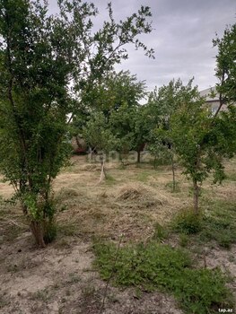 Həyət evi, Siyəzən r.