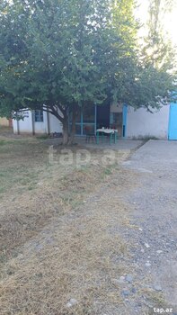 Obyekt, Saatlı r.
