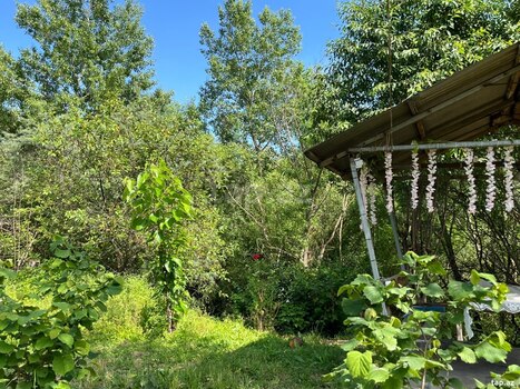 Həyət evi kirayə verilir, Qusar r.