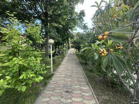 Villa, Binəqədi r.