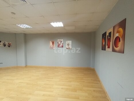Ofis icarəyə verilir, Ə. Rəcəbli küç.