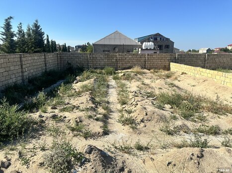3.1 sot torpaq sahəsi, Novxanı qəs.