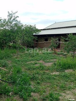 Həyət evi, Gəncə ş.