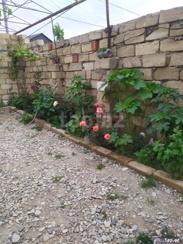 Həyət evi, Sumqayıt ş.
