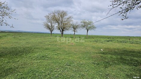 58 sot torpaq sahəsi, Cəlilabad r.