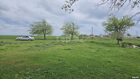 58 sot torpaq sahəsi, Cəlilabad r.