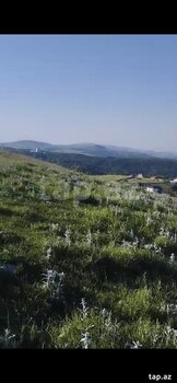 90 sot torpaq sahəsi, Şamaxı ş.