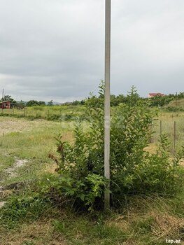 4 sot torpaq sahəsi, Qusar r.