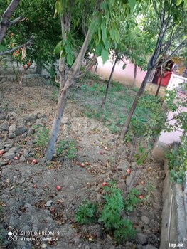 Həyət evi, Ağstafa r.
