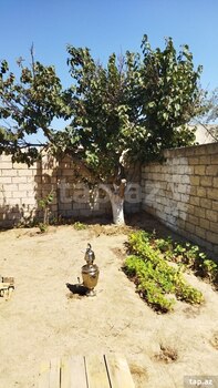 Bağ evi, Pirşağı qəs.