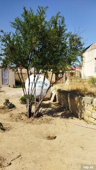 Bağ evi, Pirşağı qəs.