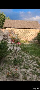 Həyət evi, Şəki ş.