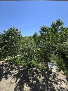 Bağ evi kirayə verilir, Quba r.