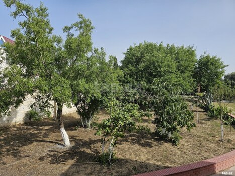 Bağ evi kirayə verilir, Bilgəh qəs.