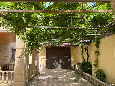 Həyət evi, Saray qəs.