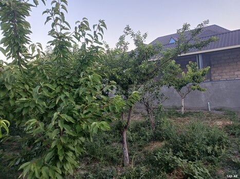 5 sot torpaq sahəsi, Mingəçevir ş.