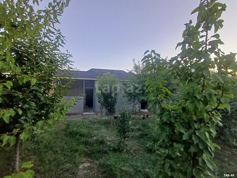 5 sot torpaq sahəsi, Mingəçevir ş.