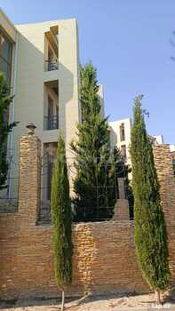 Villa, Şıxov qəs.