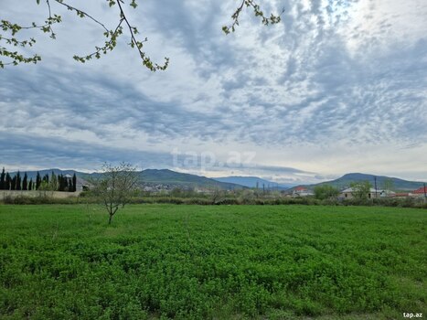 30 sot torpaq sahəsi, Şabran r.