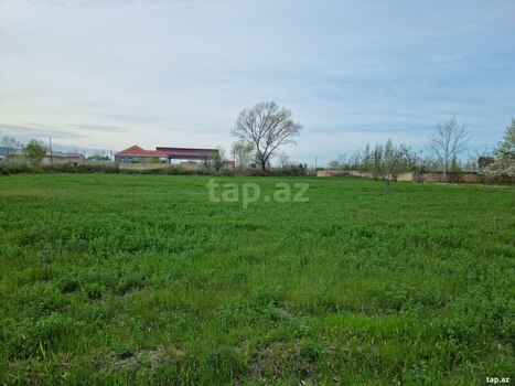 30 sot torpaq sahəsi, Şabran r.