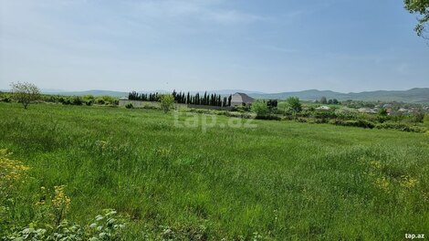 30 sot torpaq sahəsi, Şabran r.