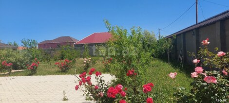 Həyət evi kirayə verilir, Savalan qəs.