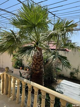 Həyət evi, İlham Hacıyev küç.