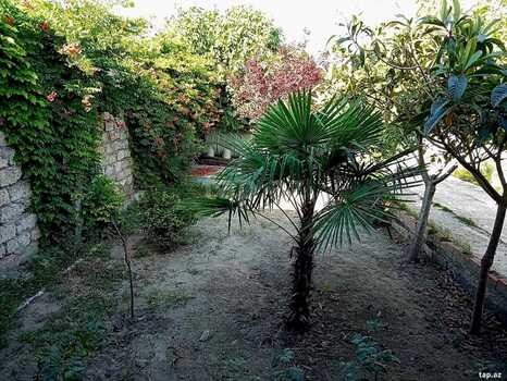 Həyət evi, Maştağa qəs.