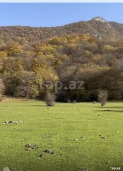 81 sot torpaq sahəsi, Oğuz r.