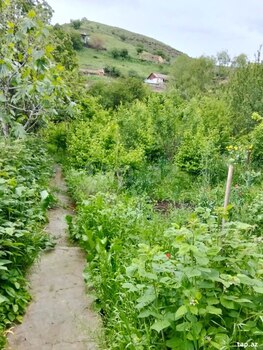 Bağ evi, Göygöl r.