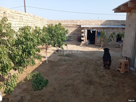 Həyət evi, Hövsan qəs.