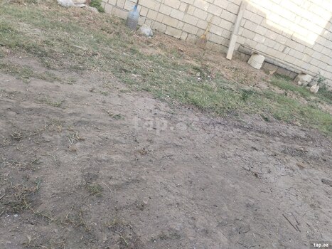 2 sot torpaq sahəsi, Lənkəran ş.