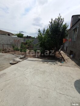 Həyət evi, Gəncə ş.