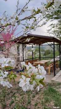 Həyət evi kirayə verilir, Qusar r.