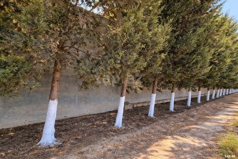 110 sot torpaq sahəsi, Bilgəh qəs.