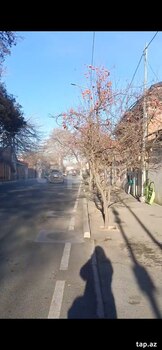 3 sot torpaq sahəsi, Ozan küç.