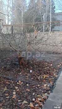 3 sot torpaq sahəsi, Ozan küç.