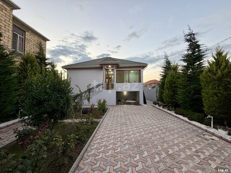 Həyət evi, Saray qəs.